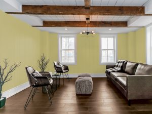living room colour trends
